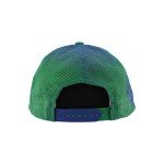 ZHATS Standard NHL Officially Licensed Adjustable Snapback Hat Big Rig Ombre, Team Color, One Size