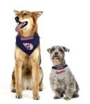 Pets First MLB Cleveland Guardians Reversible Bandana Small/Medium for Dogs & Cats. 2 Sided Sports Bandana, with a Premium Embroidery Team Logo. - 2 Sizes & All MLB Teams Available (CLG-3217-S-M)