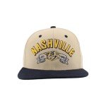 ZHATS Standard NHL Officially Licensed Adjustable Snapback Hat Milestone, Dark Stone, One Size