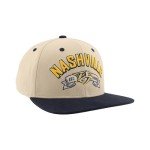 ZHATS Standard NHL Officially Licensed Adjustable Snapback Hat Milestone, Dark Stone, One Size