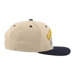 ZHATS Standard NHL Officially Licensed Adjustable Snapback Hat Milestone, Dark Stone, One Size