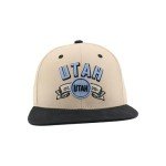 ZHATS Standard NHL Officially Licensed Adjustable Snapback Hat Milestone, Dark Stone, One Size