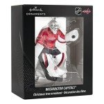 Hallmark NHL New York Rangers Goalie Christmas Ornament