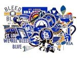 25 PCS St Louis American Blues Hockey Stickers for Water Bottle, Laptop, Bicycle, Computer, Motorcycle, Travel Case, Car Decal Decoration Sticker