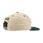 ZHATS Standard NHL Officially Licensed Adjustable Snapback Hat Milestone, Dark Stone, One Size