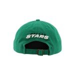 ZHATS Standard NHL Officially Licensed Adjustable Hat Scholarship Icon Team Color, One Size