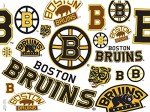 Tervis Made in USA Double Walled NHL Boston Bruins Insulated Tumbler Cup Keeps Drinks Cold & Hot, 24oz, All Over