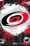 Trends International NHL Carolina Hurricanes - Maximalist Logo 23 Wall Poster, 34L x 22.4W, Unframed Version