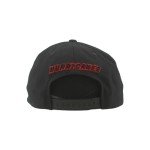 ZHATS Standard NHL Officially Licensed Adjustable Snapback Hat Flat Bill Z11 Black Element, One Size
