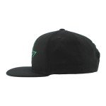 ZHATS Standard NHL Officially Licensed Adjustable Snapback Hat Flat Bill Z11 Black Element, One Size