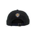 ZHATS Standard NHL Officially Licensed Adjustable Hat Scholarship Icon Two Color, One Size