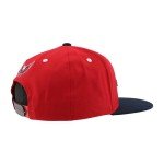 ZHATS Standard NHL Officially Licensed Adjustable Snapback Hat Flat Bill Z11 Icon Two Color, One Size