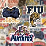 32 PCS Set of Florida Vinyl Panthers Stickers Pack Florida Decal Panthers 2-2.5 inches Product Name