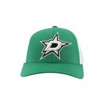 ZHATS Standard NHL Officially Licensed Adjustable Snapback Hat Big Rig Icon Team Color, One Size