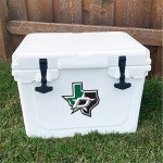 Desert Cactus Dallas Stars Sticker NHL Team National Hockey League Vinyl Decal Laptop Water Bottle Car Scrapbook (Individual D)