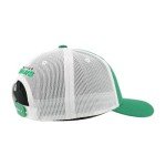 ZHATS Standard NHL Officially Licensed Adjustable Snapback Hat Big Rig Icon Team Color, One Size