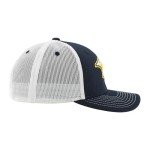 ZHATS Standard NHL Officially Licensed Adjustable Snapback Hat Dakota Icon Team Color, One Size