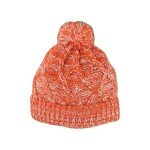 ZHATS Women's Standard NHL Officially Licensed Beanie Heathered Icon, Team Color, One Size