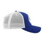 ZHATS Standard NHL Officially Licensed Adjustable Snapback Hat Big Rig Icon Team Color, One Size