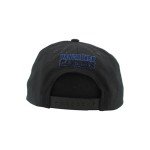ZHATS Standard NHL Officially Licensed Adjustable Snapback Hat Flat Bill Z11 Black Element, One Size