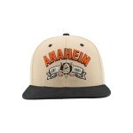 ZHATS Standard NHL Officially Licensed Adjustable Snapback Hat Milestone, Dark Stone, One Size