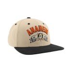 ZHATS Standard NHL Officially Licensed Adjustable Snapback Hat Milestone, Dark Stone, One Size