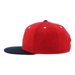 ZHATS Standard NHL Officially Licensed Adjustable Snapback Hat Flat Bill Z11 Icon Two Color, One Size