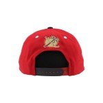 ZHATS Standard NHL Officially Licensed Adjustable Snapback Hat Flat Bill Z11 Icon Two Color, One Size