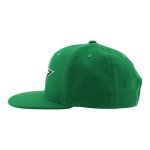 ZHATS Standard NHL Officially Licensed Adjustable Snapback Hat Flat Bill Z11 Icon Team Color, One Size