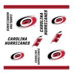 Rico Industries NHL Hockey Carolina Hurricanes Mayhem Double Wall 20oz Tritan Tumbler