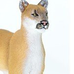 Safari Ltd. Florida Panther Figurine - Realistic 9" Model Figure - Fun Educational Wildlife Toy for Boys, Girls &Kids Ages 3+