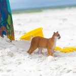 Safari Ltd. Florida Panther Figurine - Realistic 9" Model Figure - Fun Educational Wildlife Toy for Boys, Girls &Kids Ages 3+