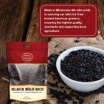 Spicy World Minnesota Grown Black Wild Rice 24oz Bag (1.5LB) | Premium Quality | All Natural, Hearty Grain with Rich Flavor | Perfect for Rice Dishes & Recipes