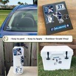 Desert Cactus Winnipeg Jets Sticker Team NHL National Hockey League Player Vinyl Decal Laptop Water Bottle Car Scrapbook (Type P2 - Connor Hellebuyck)