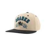 ZHATS Standard NHL Officially Licensed Adjustable Snapback Hat Milestone, Dark Stone, One Size