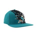 ZHATS Standard NHL Officially Licensed Adjustable Snapback Hat Flat Bill Z11 Retro Paintbrush, Team Color, One Size