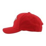 ZHATS Standard NHL Officially Licensed Hat Competitor Team Color, One Size