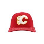 ZHATS Standard NHL Officially Licensed Adjustable Snapback Hat Dakota Icon Team Color, One Size