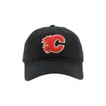 ZHATS Standard NHL Officially Licensed Adjustable Hat Scholarship Icon Black, One Size