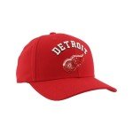 ZHATS Standard NHL Officially Licensed Hat Competitor Team Color, One Size