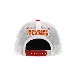 ZHATS Standard NHL Officially Licensed Adjustable Snapback Hat Dakota Icon Team Color, One Size