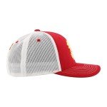 ZHATS Standard NHL Officially Licensed Adjustable Snapback Hat Dakota Icon Team Color, One Size