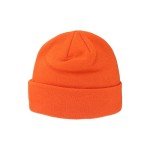 ZHATS Standard NHL Officially Licensed Beanie Cuff Icon Team Color, One Size