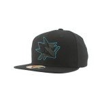 ZHATS Unisex Kid's NHL Officially Licensed Youth Adjustable Snapback Hat Flat Bill Z11 Black Element, One Size