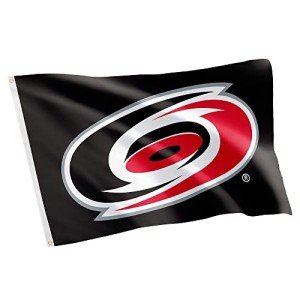 Desert Cactus Carolina Hurricanes Flag NHL 100% Polyester Indoor Outdoor 3x5 feet National Hockey League Team Flags (Design #1)