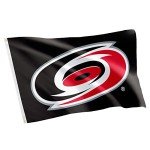 Desert Cactus Carolina Hurricanes Flag NHL 100% Polyester Indoor Outdoor 3x5 feet National Hockey League Team Flags (Design #1)