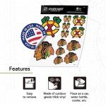 Desert Cactus Chicago Blackhawks Team NHL National Hockey League Sticker Vinyl Decal Laptop Water Bottle Car Scrapbook (Type 1-1)