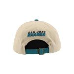 ZHATS Standard NHL Officially Licensed Adjustable Hat Scholarship Icon Stone, One Size