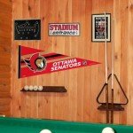 WinCraft Ottawa Senators Pennant