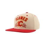 ZHATS Standard NHL Officially Licensed Adjustable Snapback Hat Milestone, Dark Stone, One Size